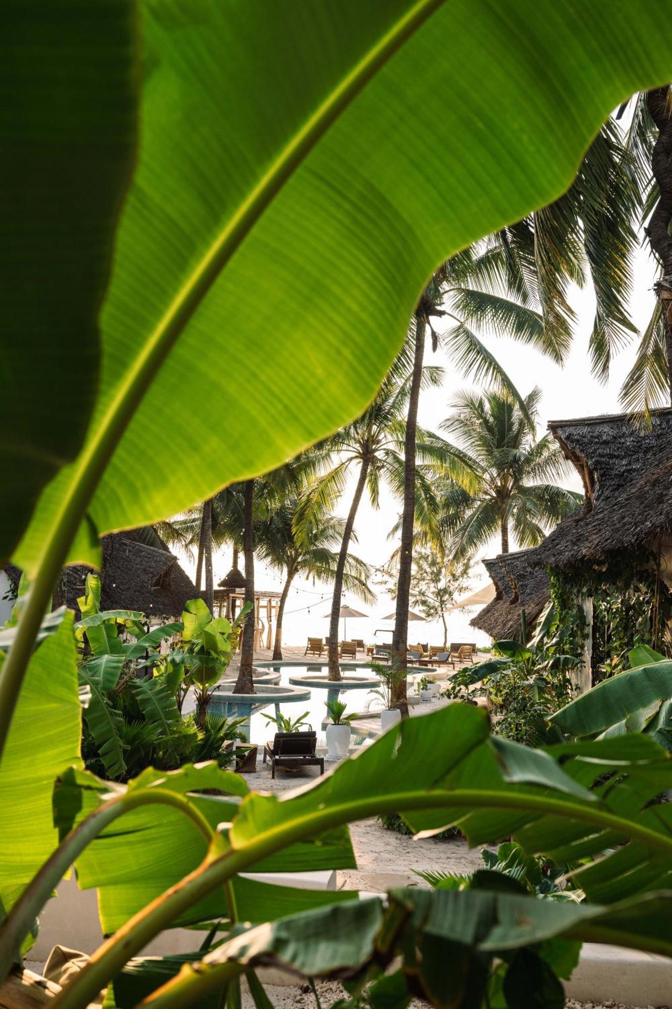 Mala Boutique Hotel Bwejuu Exteriör bild